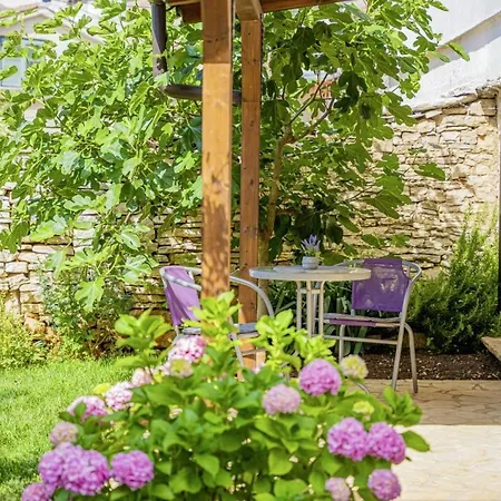 Olea In Barat - Haus Fuer 6-8 Personen Kanfanar